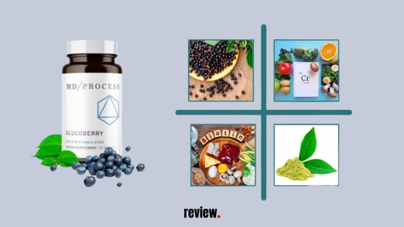 Glucoberry Reviews — Blood Sugar Support Pills